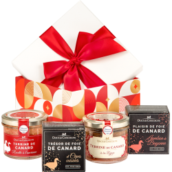 Panier garni cadeau découverte du foie gras - Idéal pour les fêtes